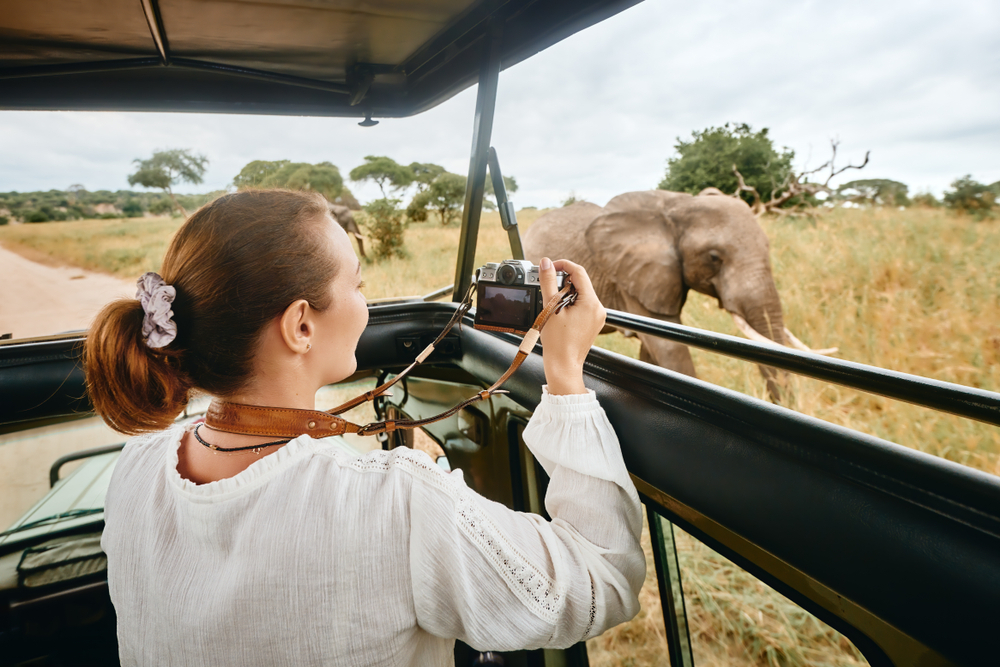 How to Plan Self-Drive Safaris in Rwanda