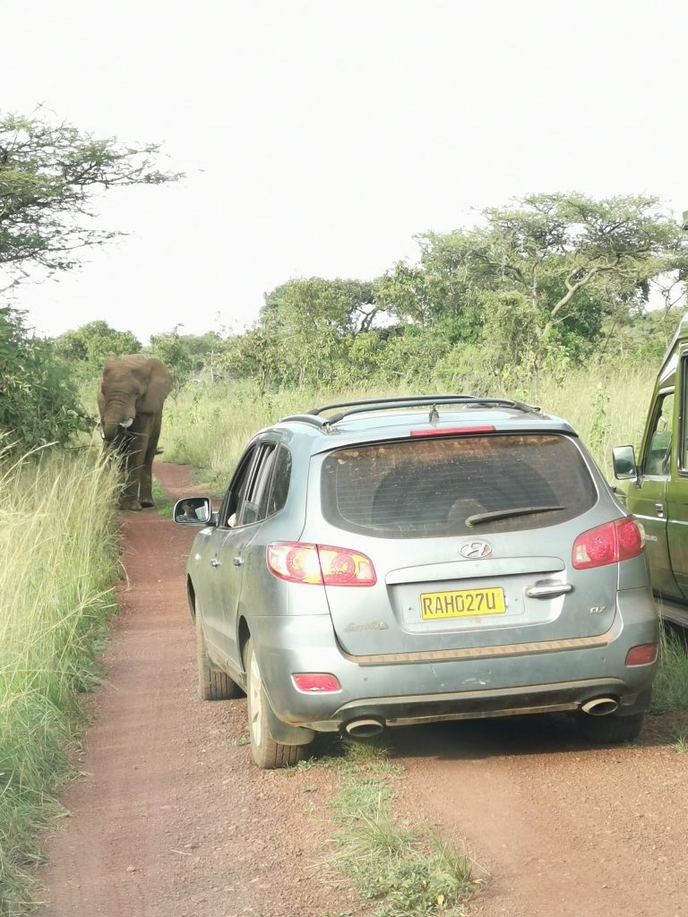 4x4 Car Rental Kigali