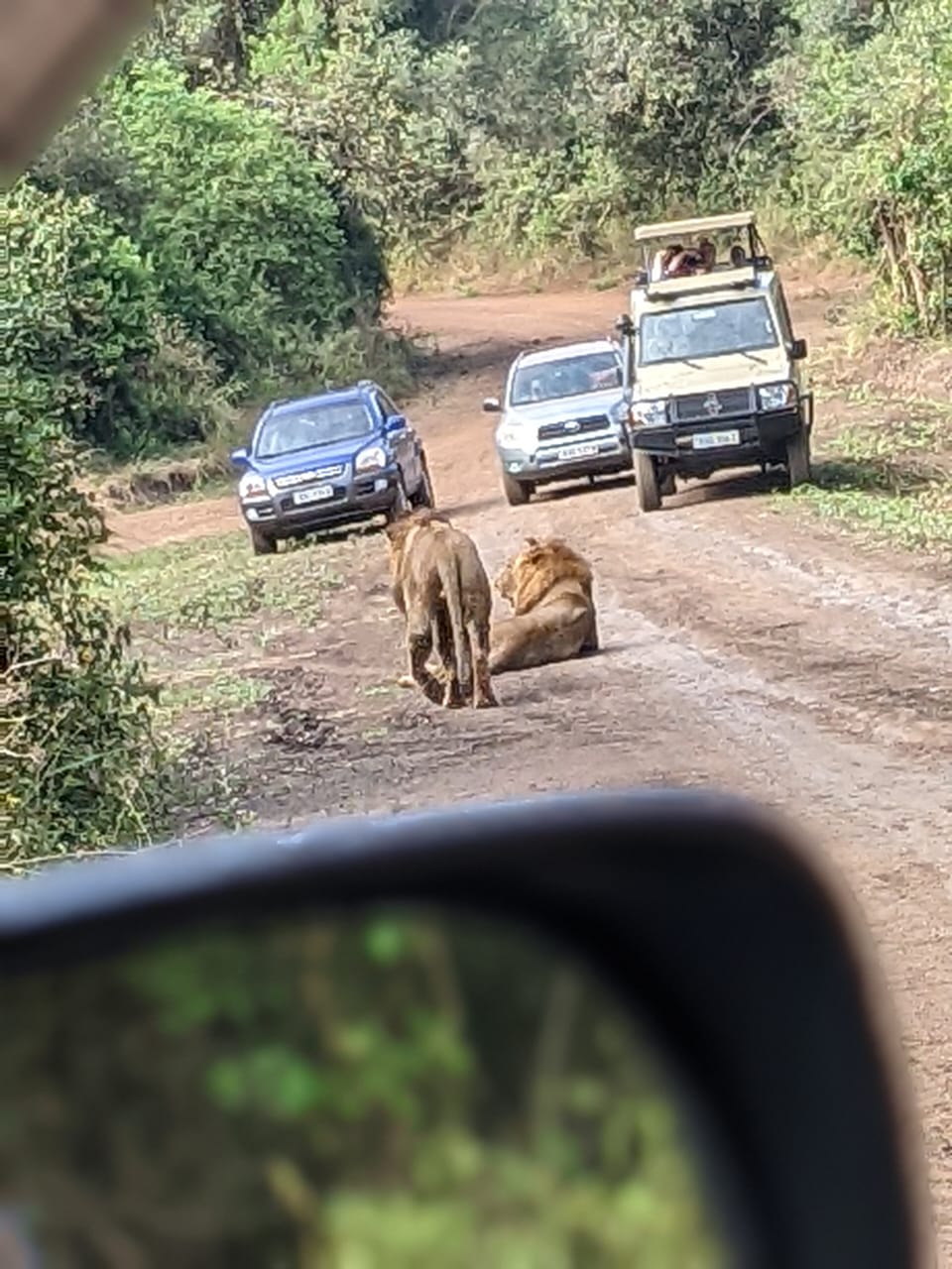 Car rental with a driver Rwanda