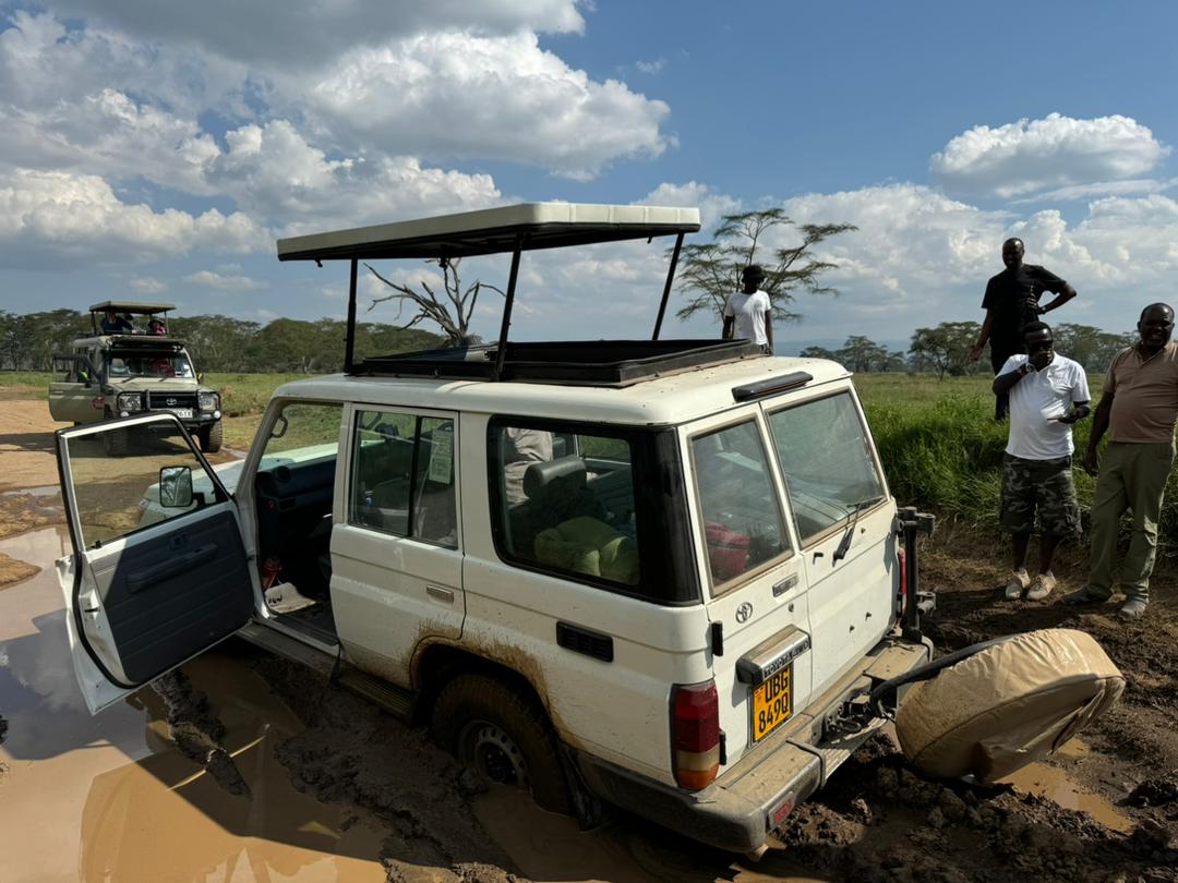 Safari Car Rental Rwanda