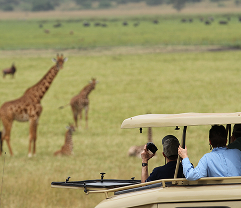 Visit Akagera National Park