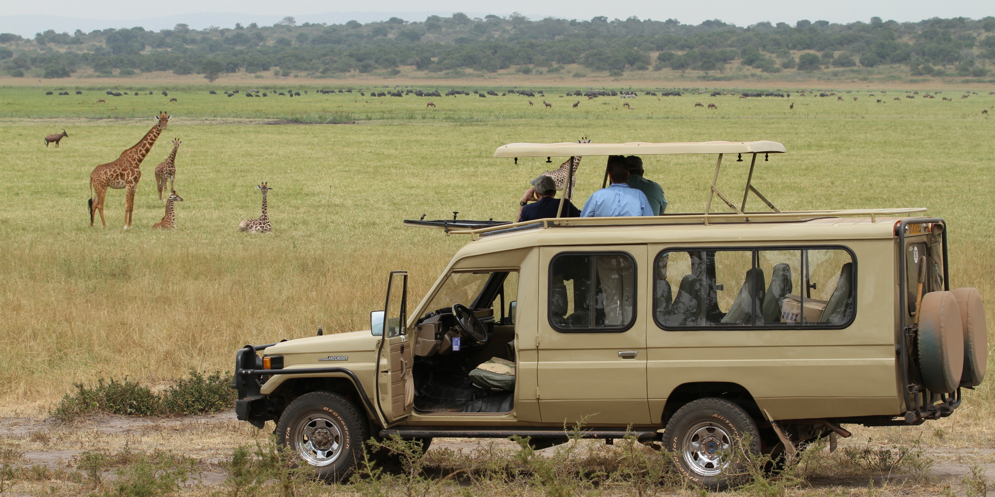 Visit Akagera National Park