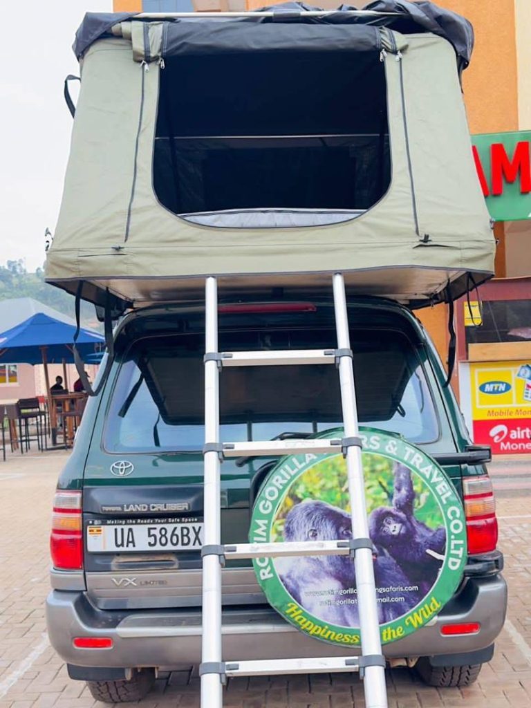 Book a reliable cross border car hire Rwanda to Uganda with 4x4Kigali Car Rentals. Get your COMESA insurance and 4x4 vehicle for an epic safari.