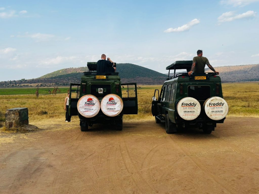 Discover the best Rwanda safari car rentals for self-drive and guided tours. Rent 4x4 Land Cruisers, Prados, Hilux, and RAV4s for gorilla trekking, wildlife safaris, and road trips.