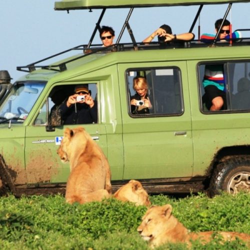 Corporate Car Rental Rwanda, Car Rental Options